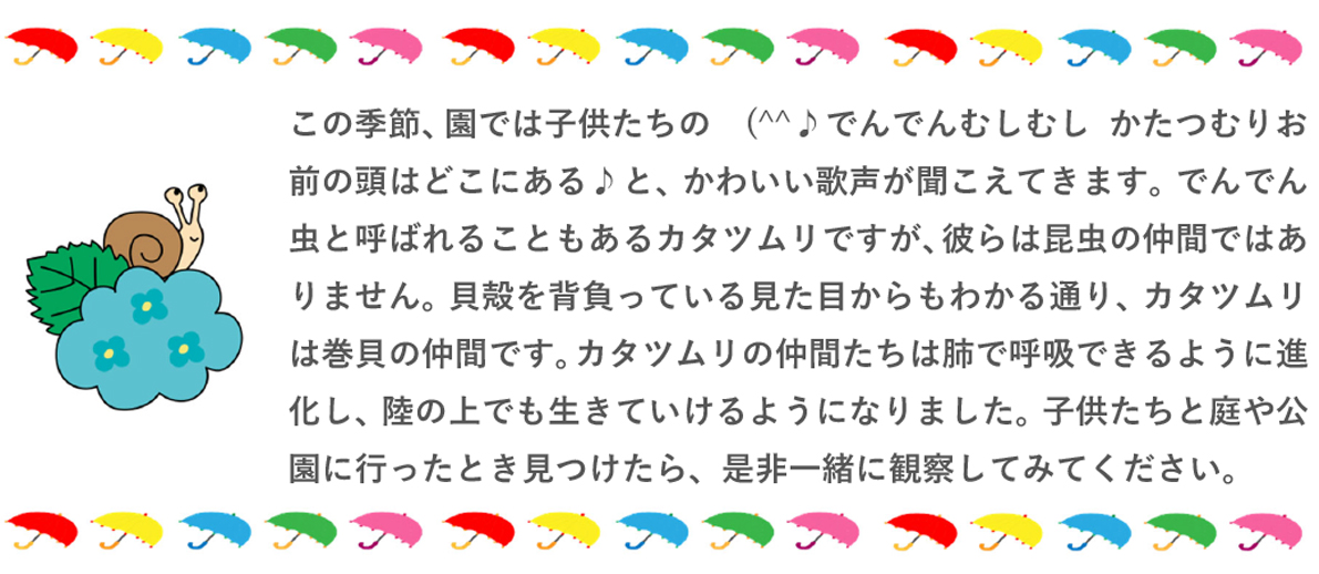 園だより