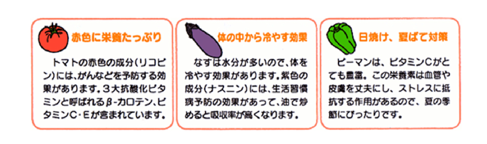 食育だより